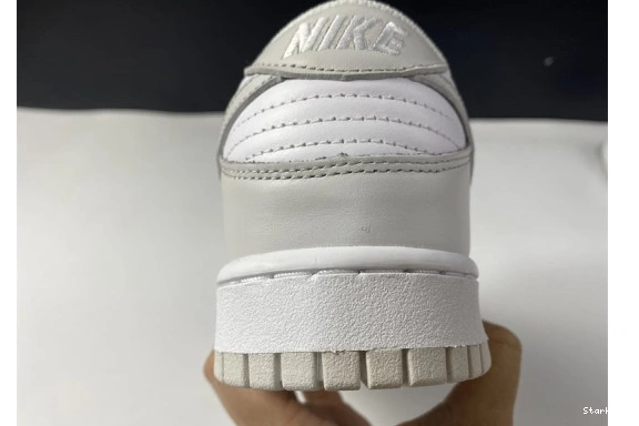 Dust" Nike Low DD1503-103 "Photon Dunk 1107